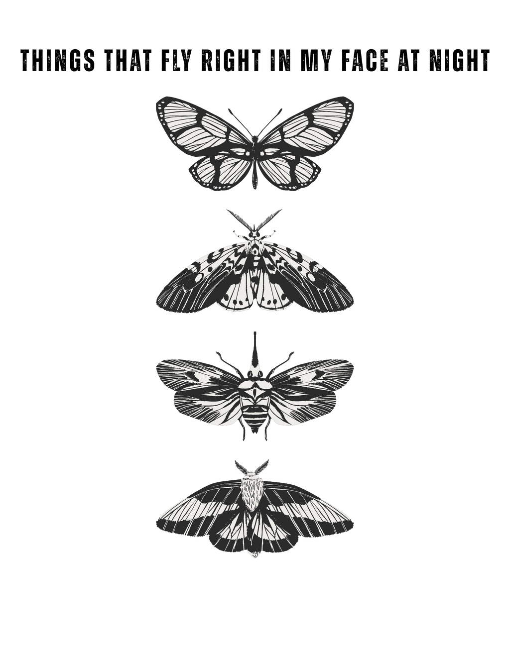 Things that fly in my face at night