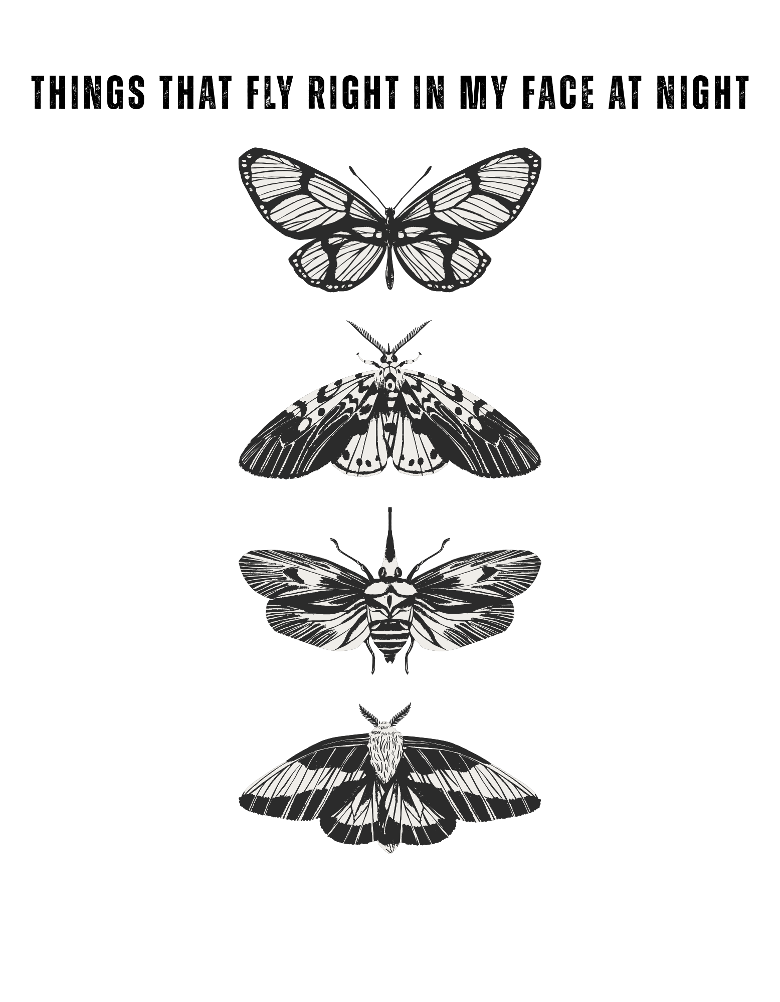 Things that fly in my face at night